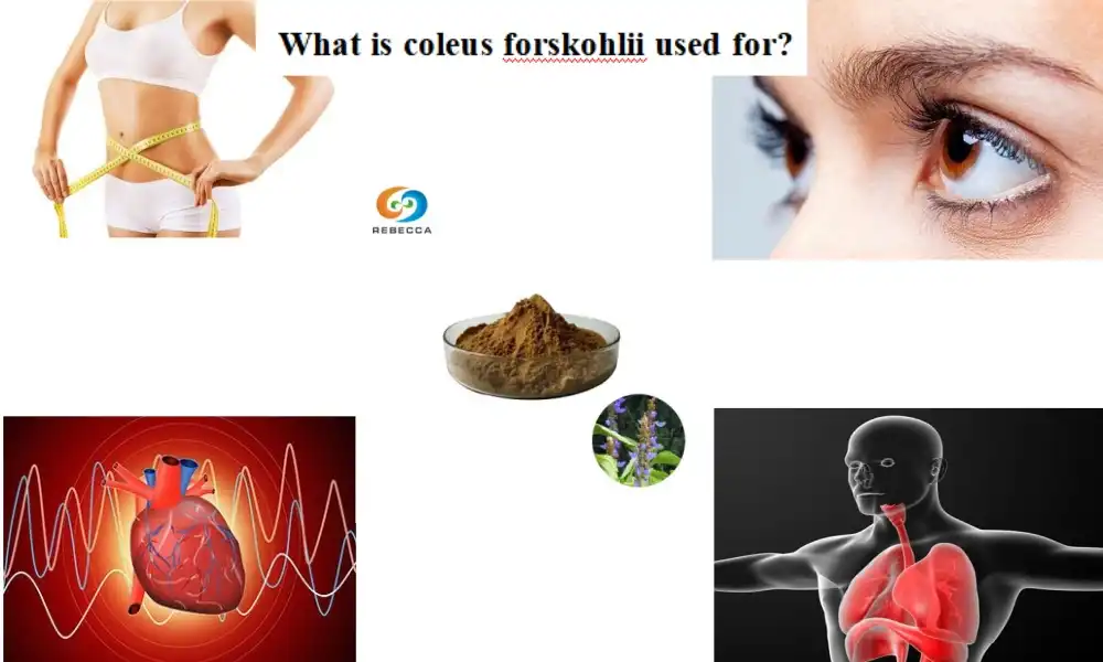 What is coleus forskohlii used for?